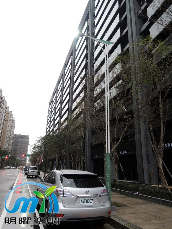 桃大泰極 大金1