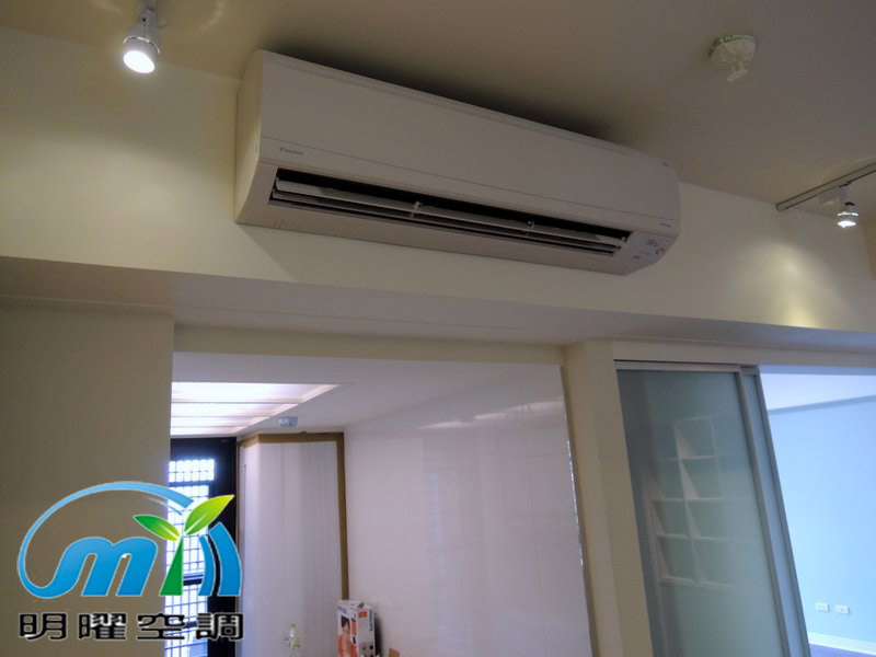 桃大泰極 大金1