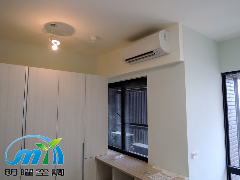 桃大泰極 大金1