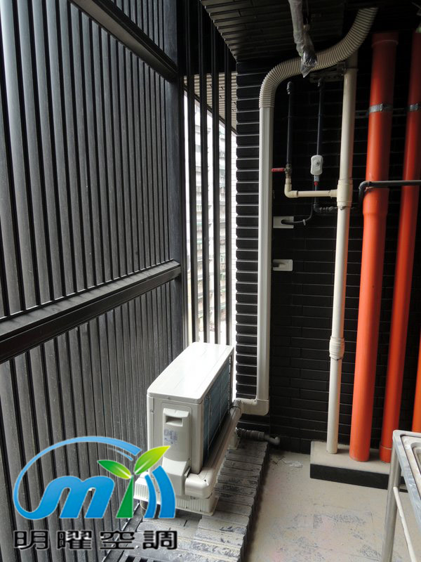 桃大泰極 大金1