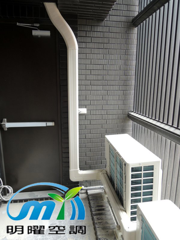 桃大泰極 大金1