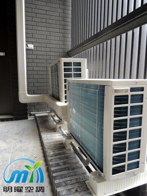 桃大泰極 大金1