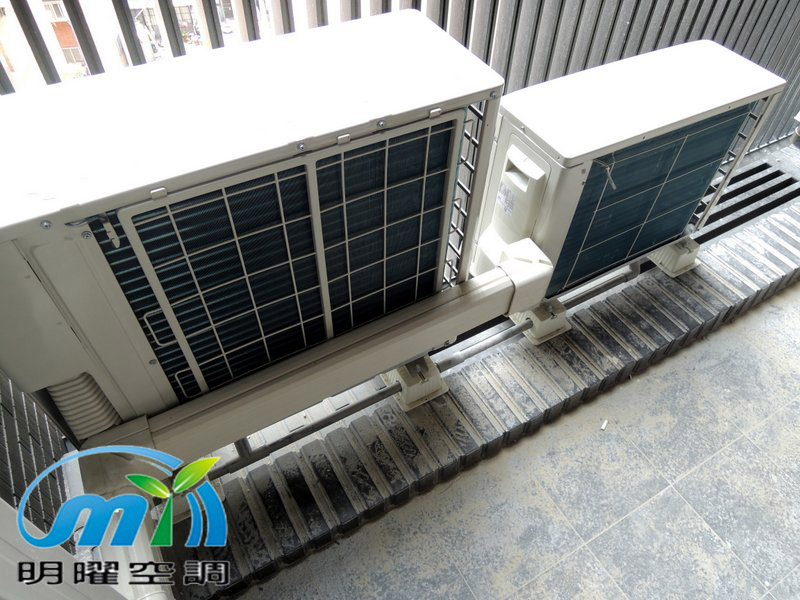 桃大泰極 大金1