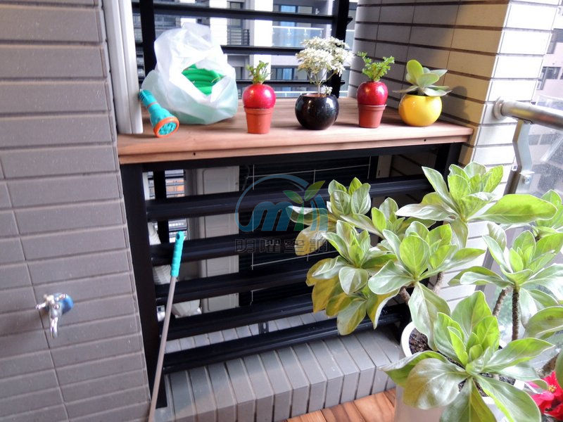 新莊合新大美 大金