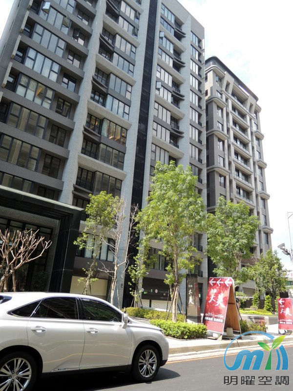 新莊合新大美 大金1