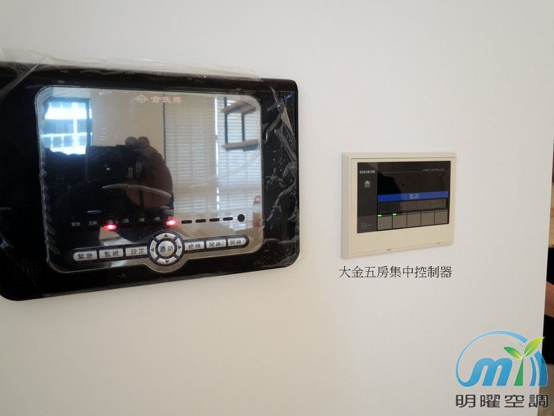 新莊合新大美 大金1