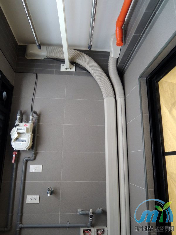 新莊合新大美 大金1